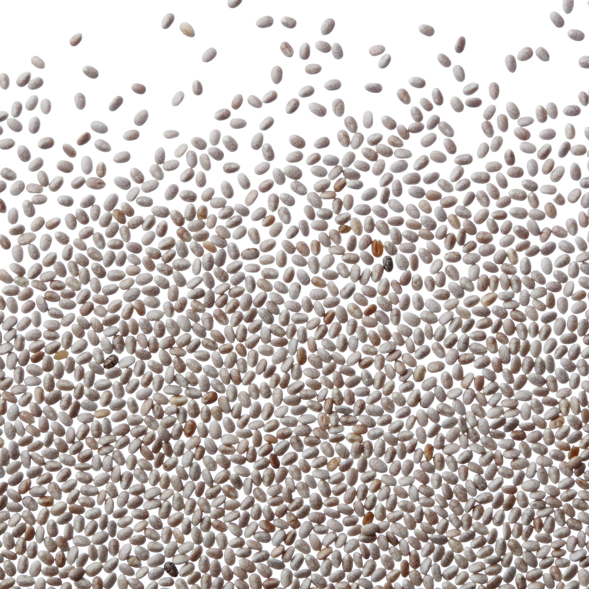 Product Page Key Ingredients: Chia Seed Gel